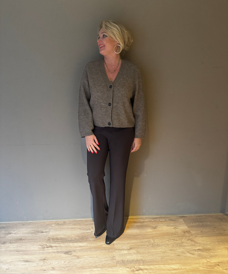 Pantalon Joseph Ribkoff 163099F25