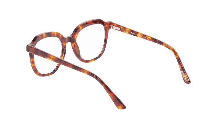 Leesbril Frank and Lucie Eyecan Turtle Shade