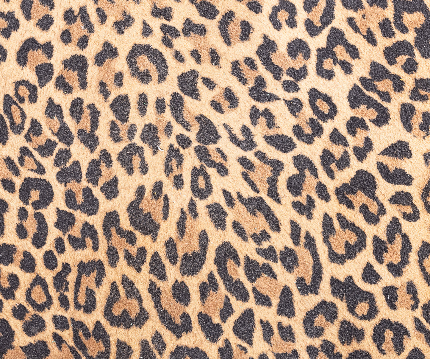 Sandaal Unisa CHISUN_LKD