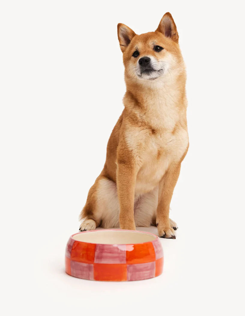 Bowl Dogguo Block