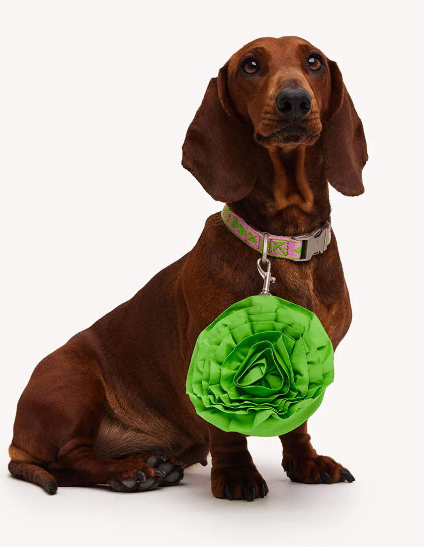 Poopholder Dogguo Green