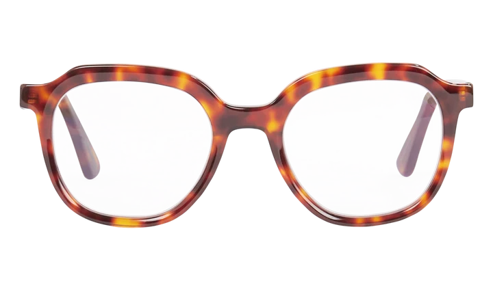 Leesbril Frank and Lucie Eyecan Turtle Shade