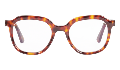 Leesbril Frank and Lucie Eyecan Turtle Shade