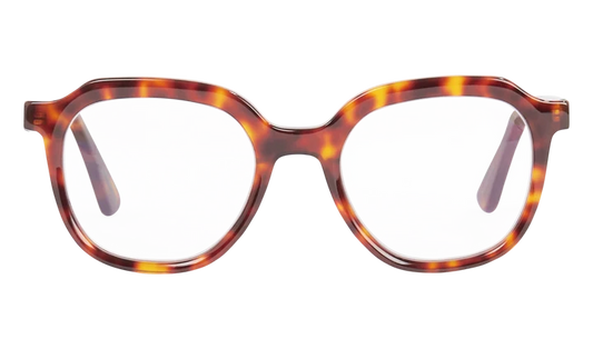 Leesbril Frank and Lucie Eyecan Turtle Shade