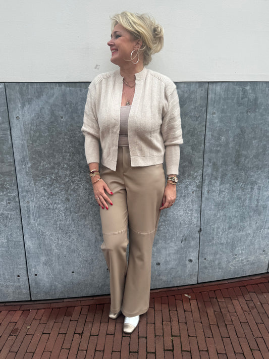 Broek Joseph Ribkoff 254044