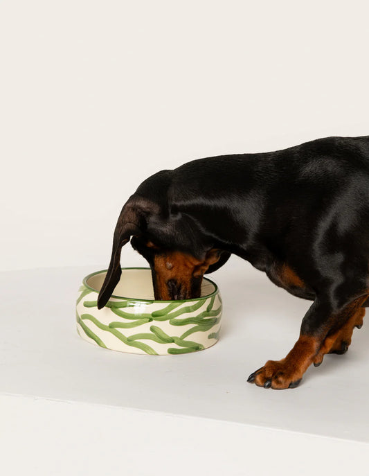 Bowl Dogguo Zebra Groen