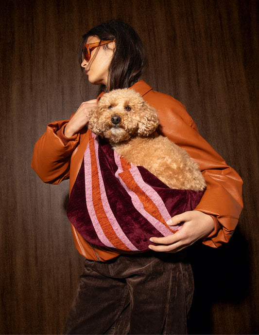 Draagzak Dogguo Streep