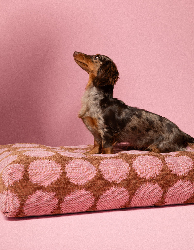 Hondenbed Dogguo Dot - Bed