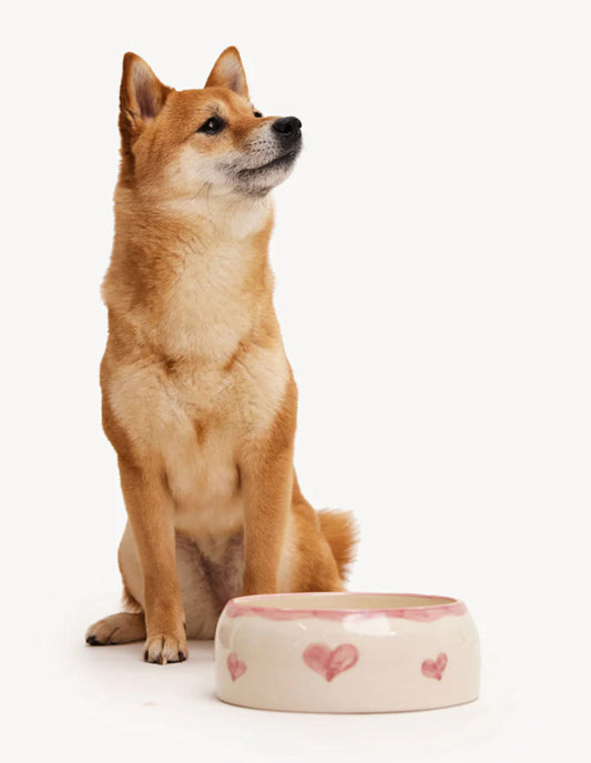 Bowl Dogguo Heart