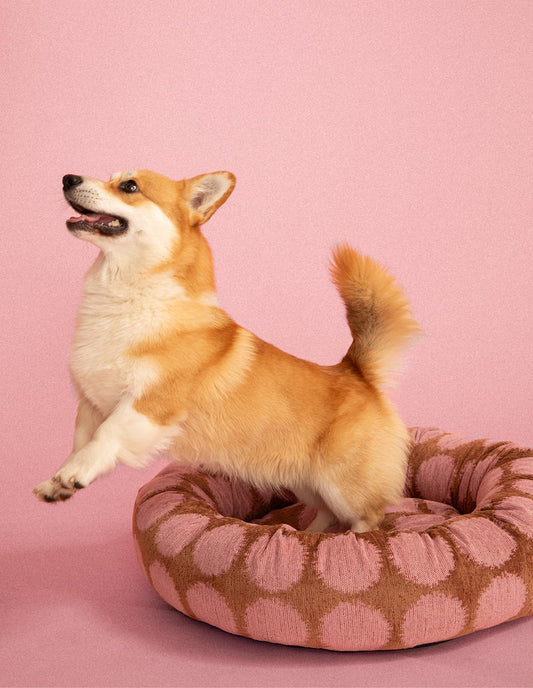 Hondenbed Dogguo Dot Round bed
