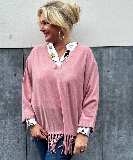 Poncho Herzen's Angelegenheit 25253 / 1217