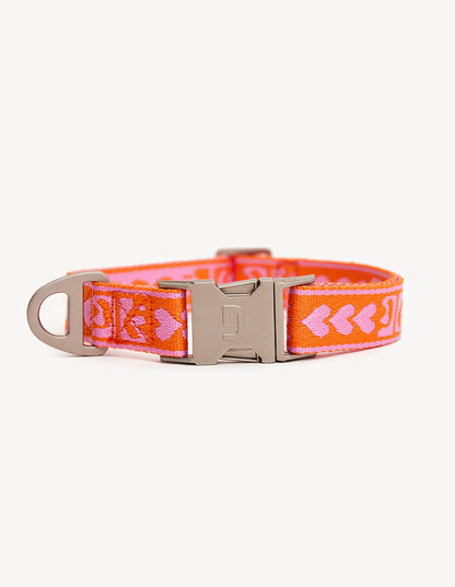 Halsband Dogguo Orange