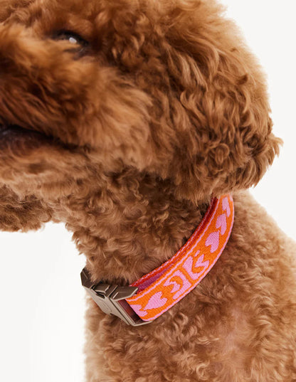 Halsband Dogguo Orange